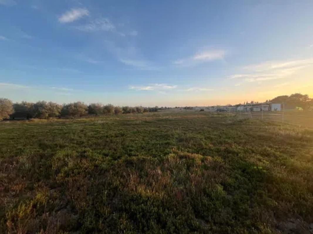 Terreno en venta en Mutxamel, Alicante photo 5
