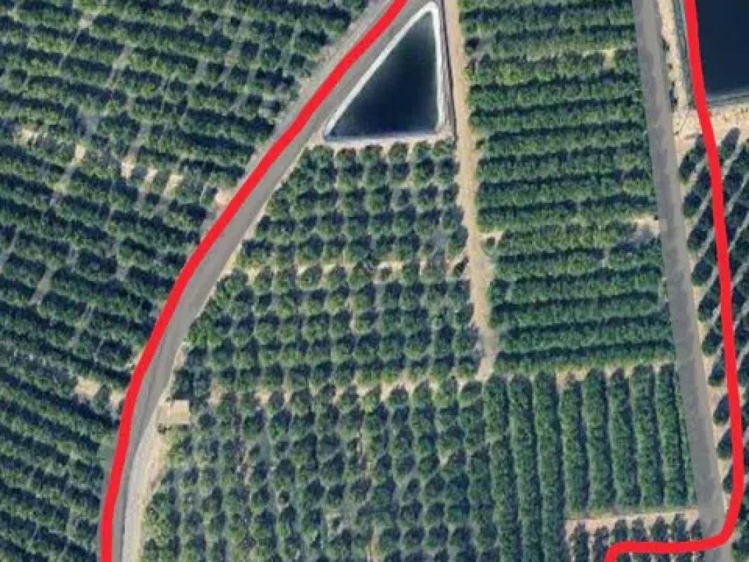 Land for sale in Los Montesinos, Alicante photo 1