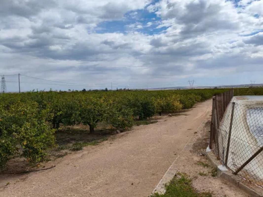 Land for sale in Los Montesinos, Alicante photo 3