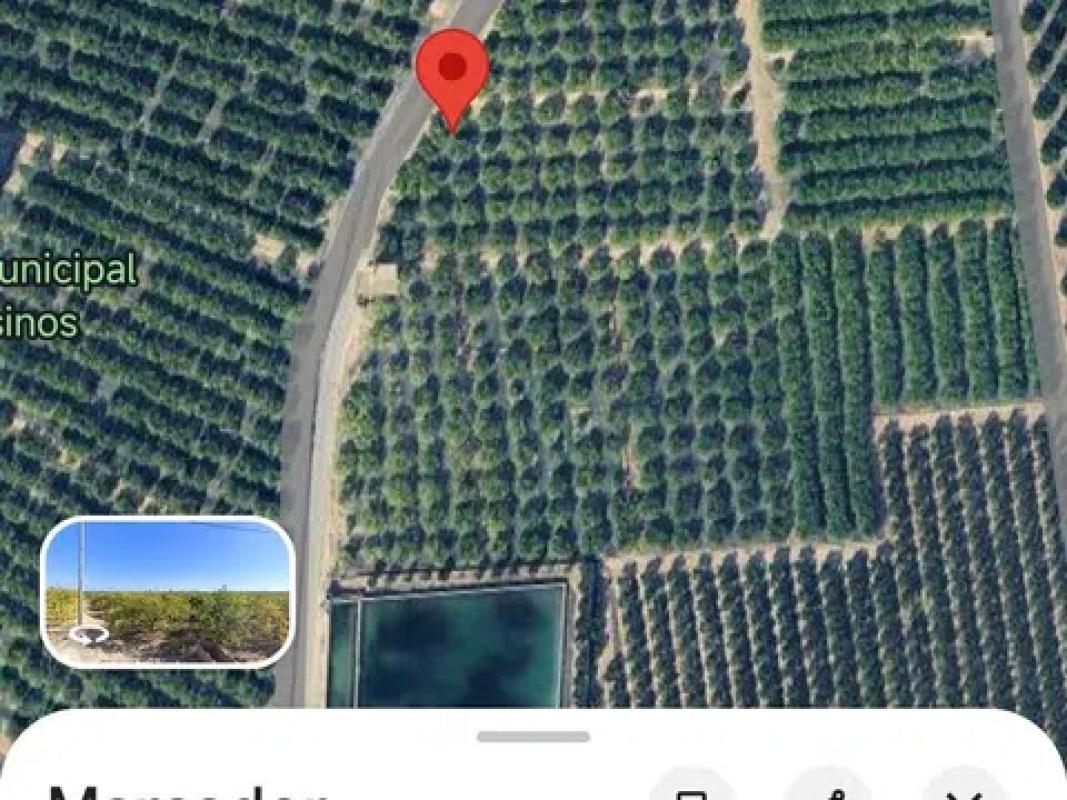 Land for sale in Los Montesinos, Alicante photo 5