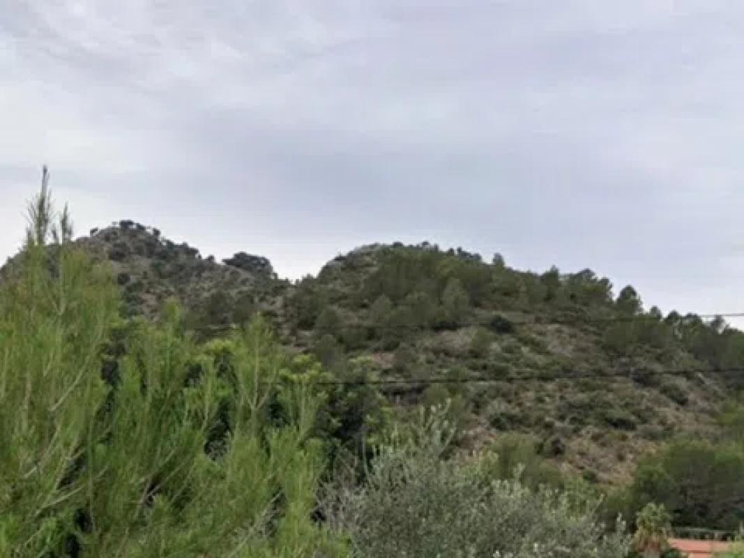Terreno en venta en Jalón, Alicante photo 4