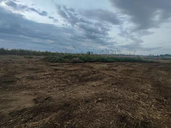 Terreno en Los Montesinos photo 2