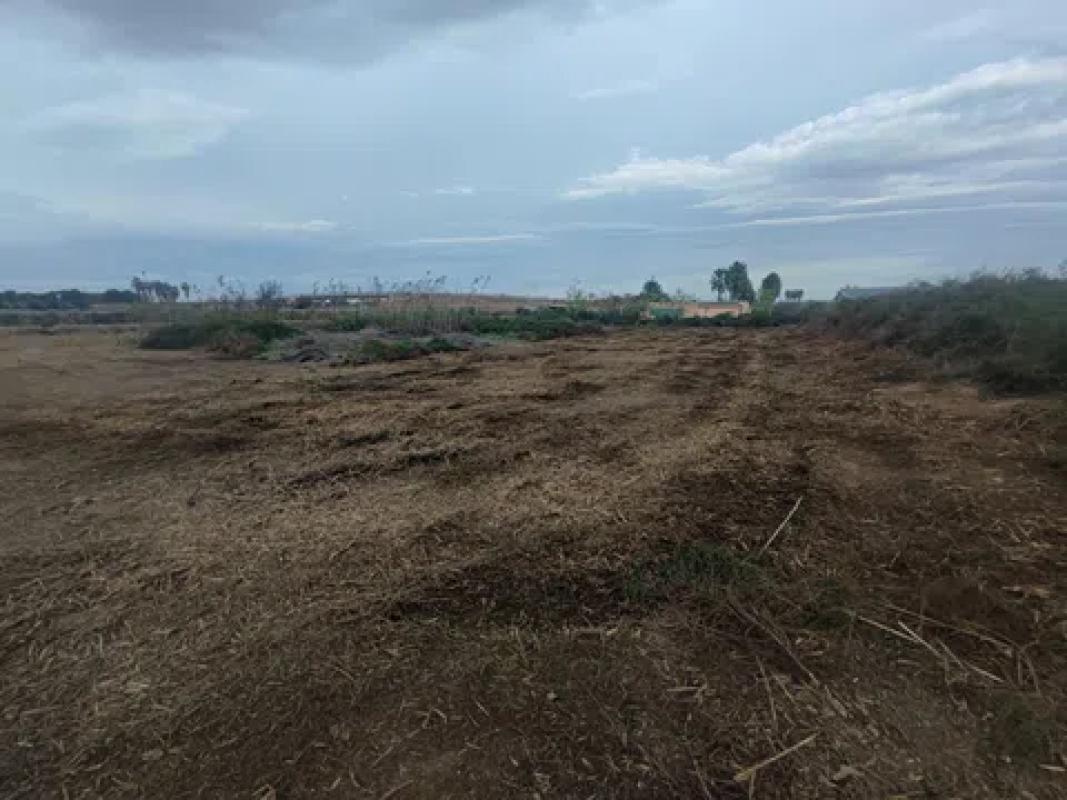 Terreno en venta en Los Montesinos, Alicante photo 3