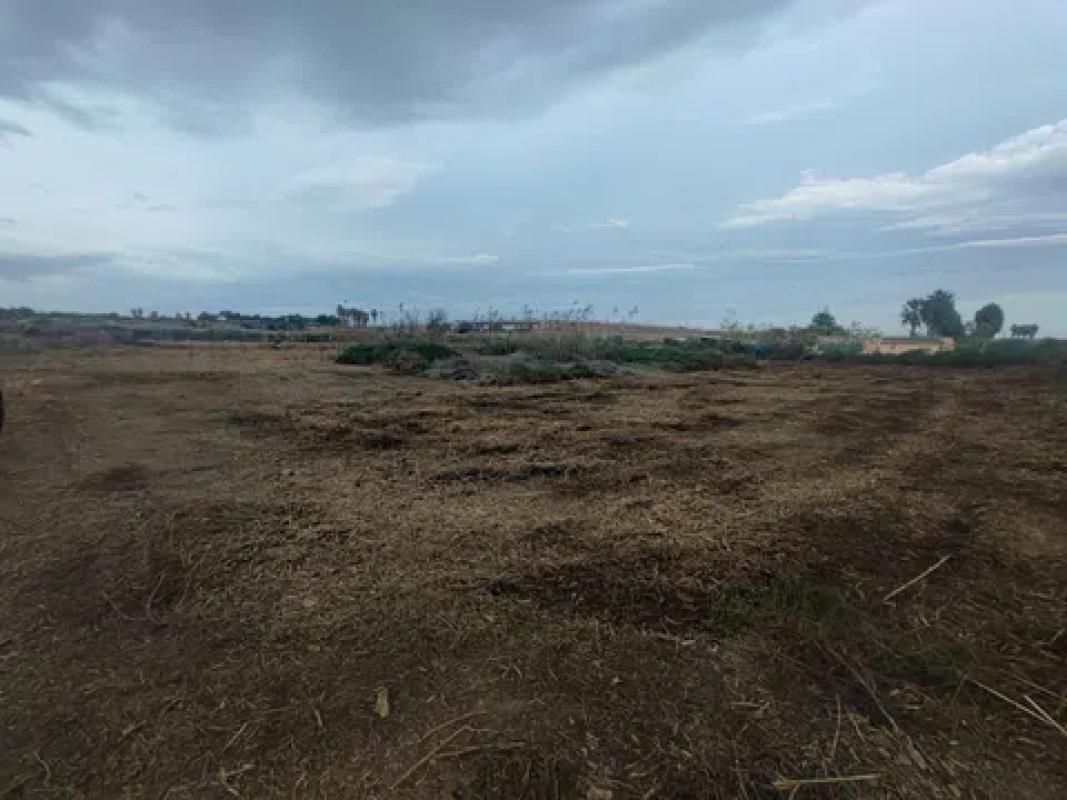 Terreno en venta en Los Montesinos, Alicante photo 5