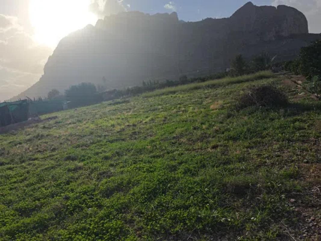 Działka na sprzedaż w El Verger, Alicante photo 2