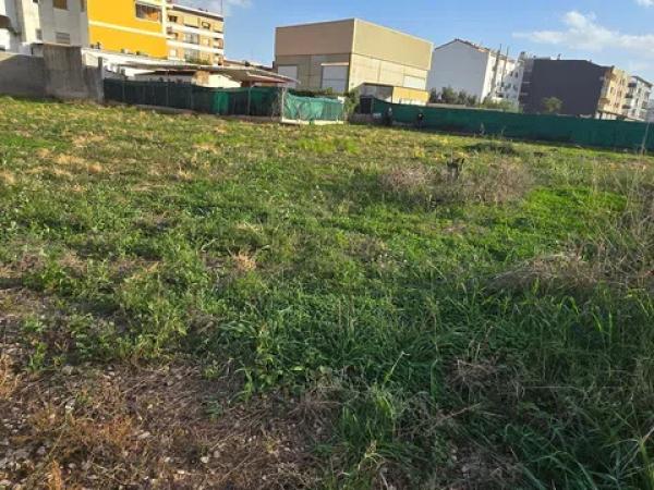 Terreno en avenida Constitució photo 4