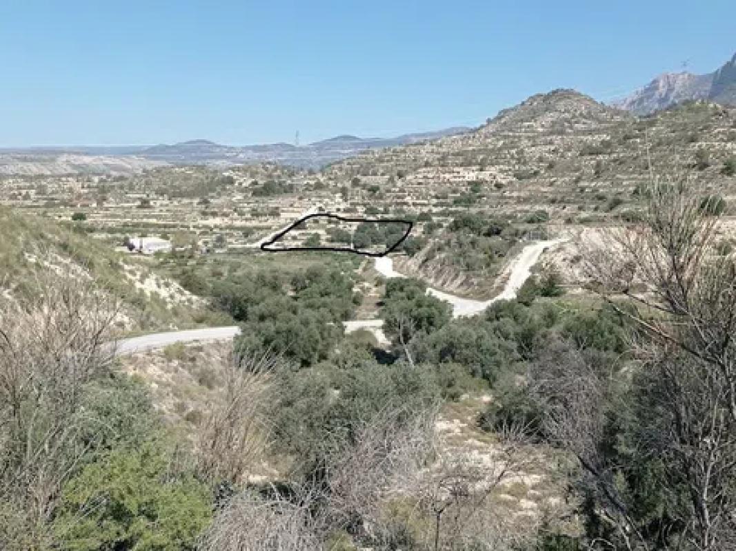 Land for sale in Busot, Alicante photo 2