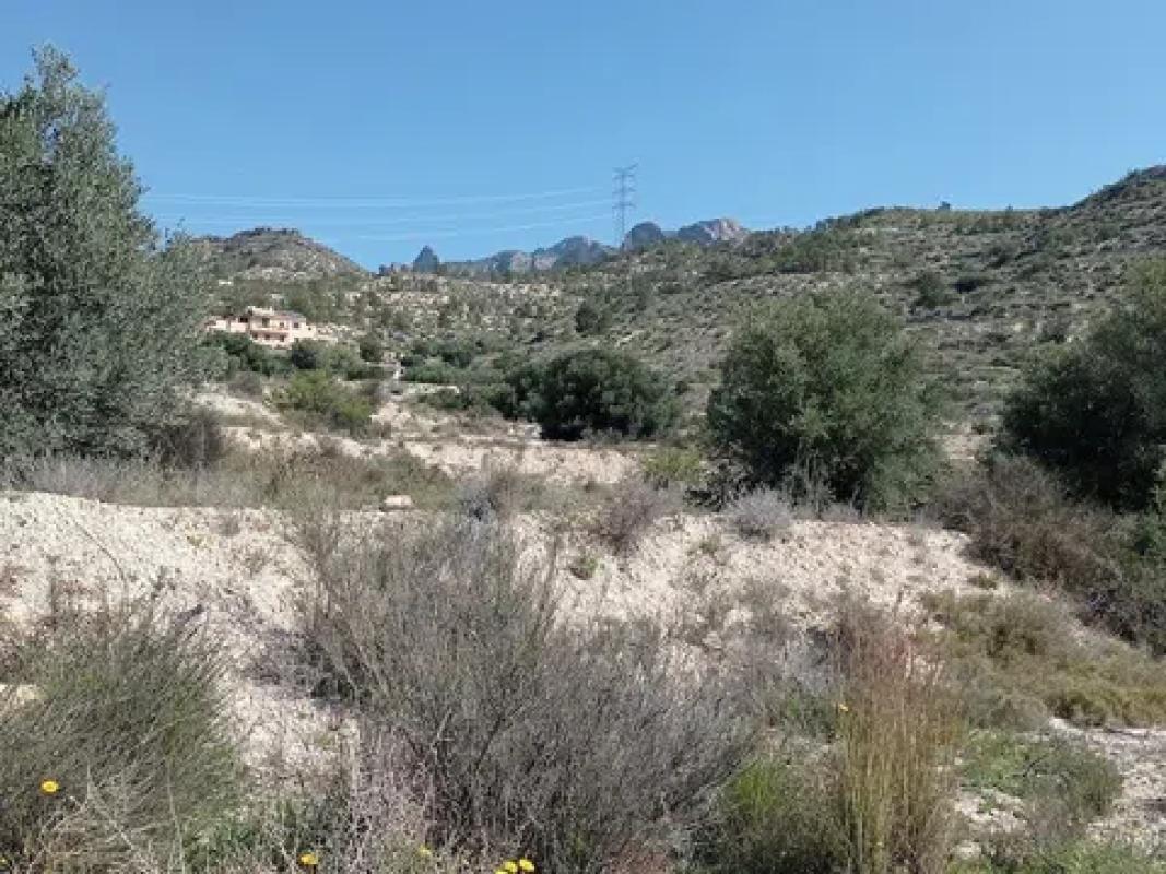 Land for sale in Busot, Alicante photo 3