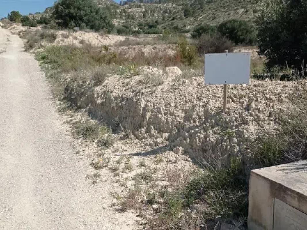 Land for sale in Busot, Alicante photo 4