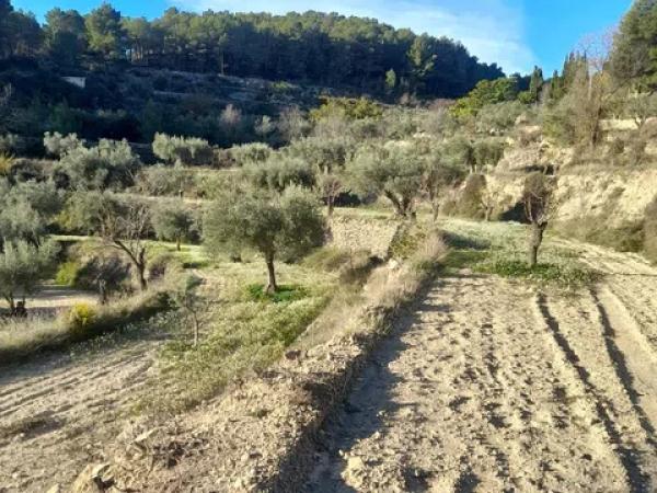 Terreno en Teix, 3 photo 3