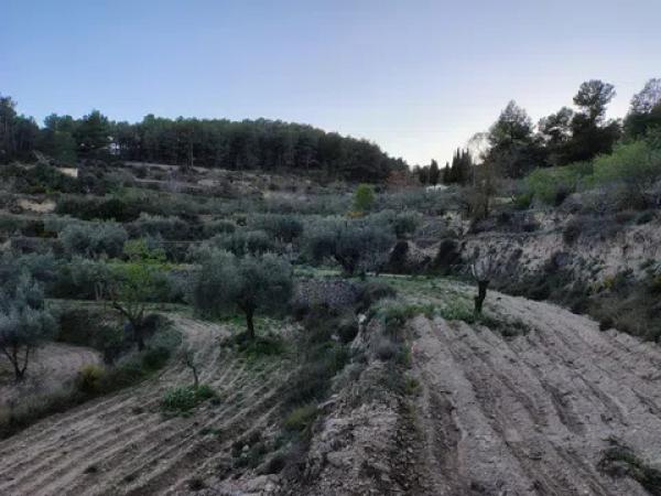 Terreno en Teix, 3 photo 4