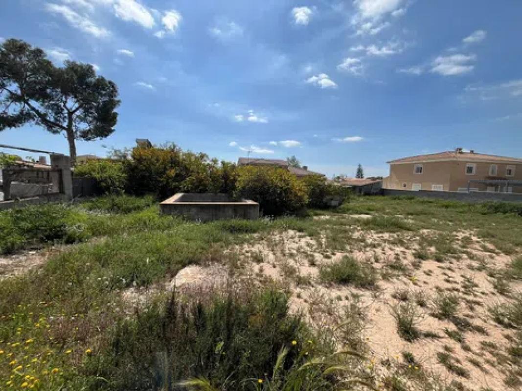 Terreno en venta en San Vicente del Raspeig, Alicante photo 2