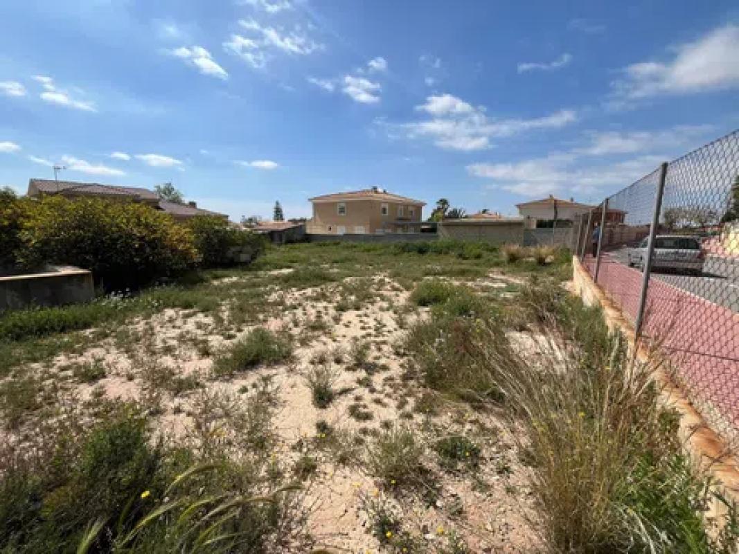 Terreno en venta en San Vicente del Raspeig, Alicante photo 4