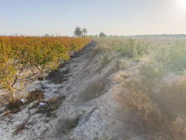 Terreno en Partida la Marina, 1068 a thumbnail 1