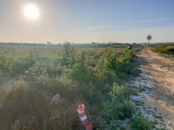 Terreno en Partida la Marina, 1068 a thumbnail 2