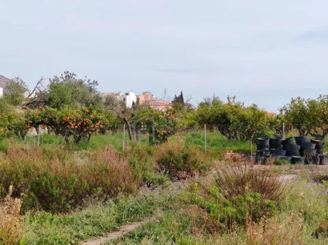 Land for sale in Finestrat, Alicante photo 2