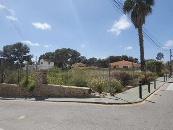 Terreno en avenida Pino del p C, 70 photo 3