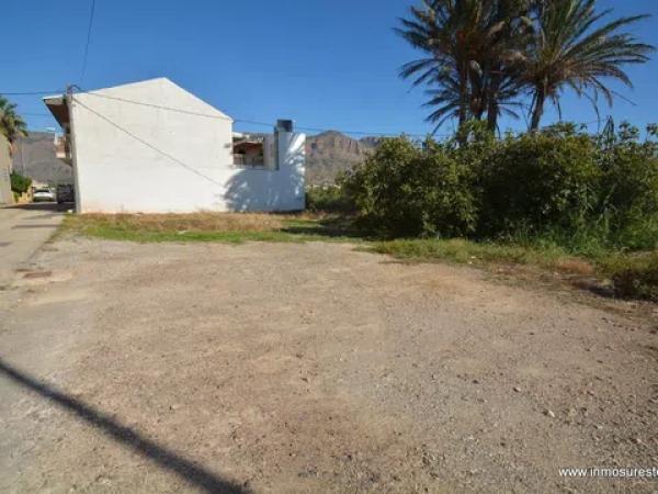 Terreno en Orihuela Ciudad photo 3