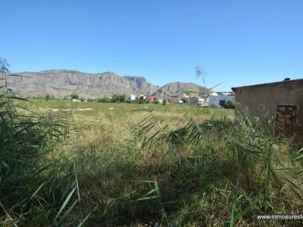 Terreno en Orihuela Ciudad photo 4