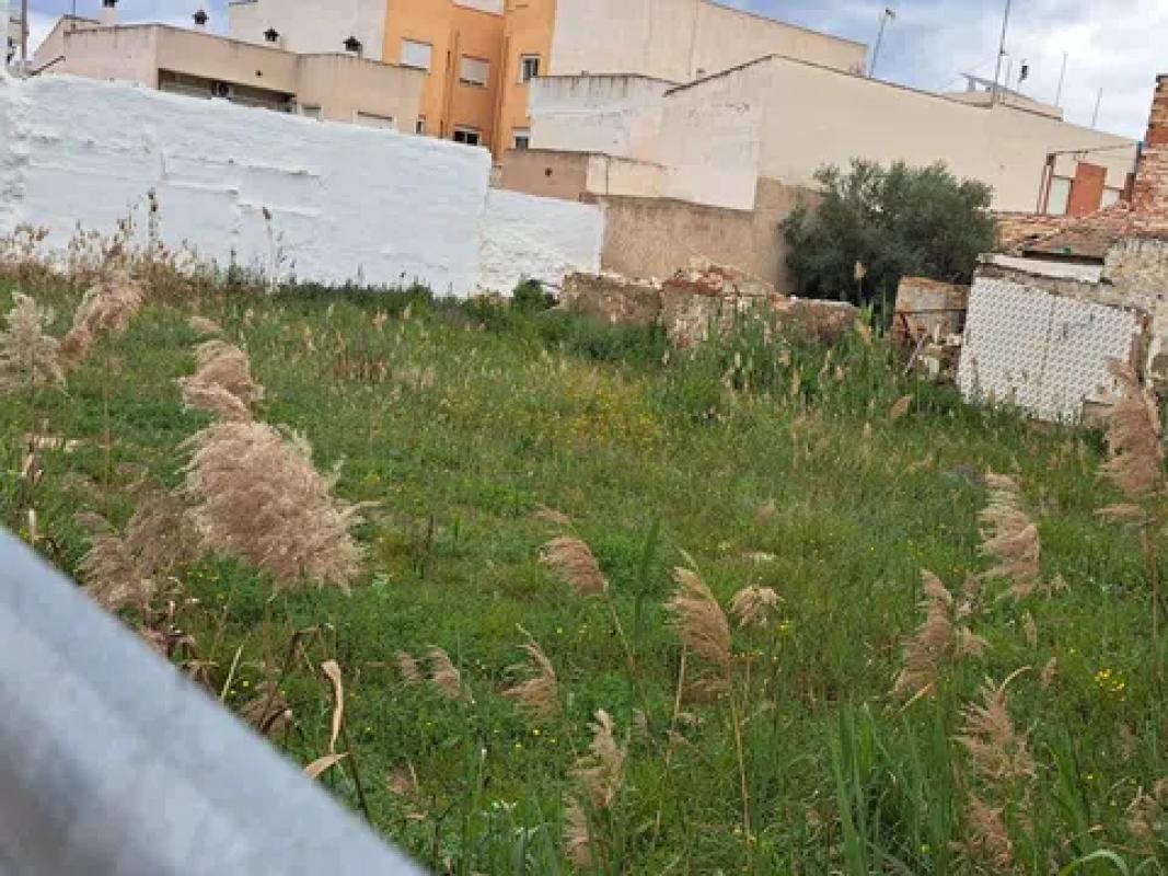 Terreno en venta en Jacarilla, Alicante photo 5
