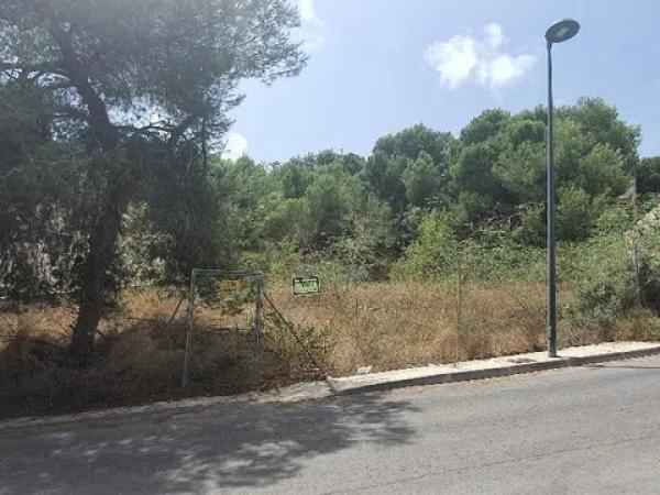 Terreno en calle tejo, 10 photo 1