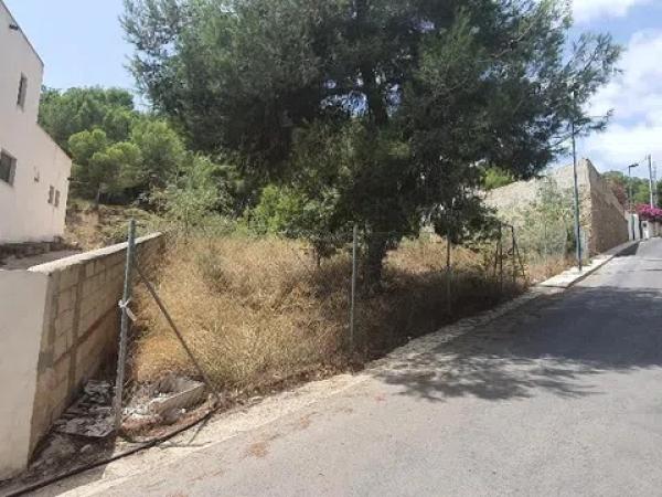 Terreno en calle tejo, 10 photo 3