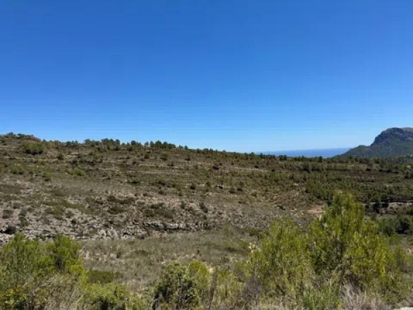 Terreno en Partida Marnes photo 3