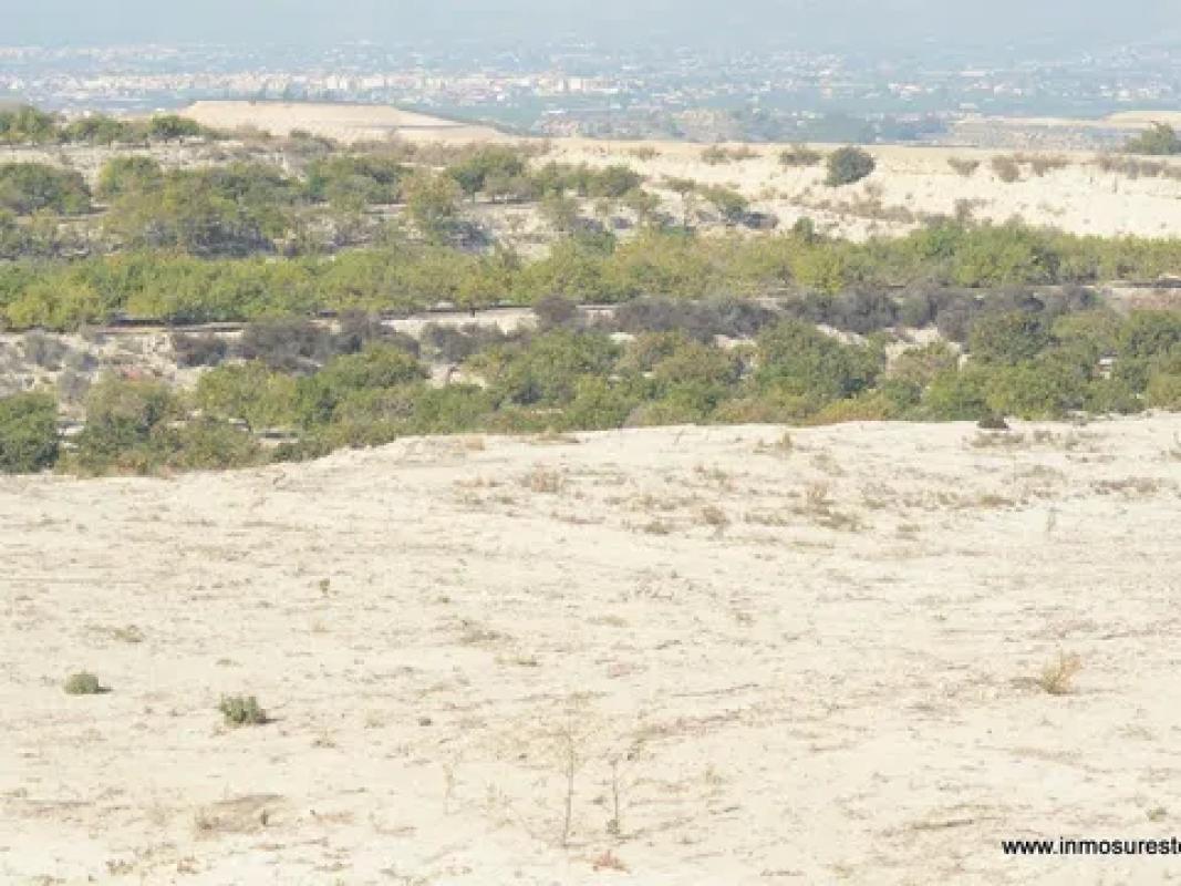Terreno en venta en Orihuela, Alicante photo 5