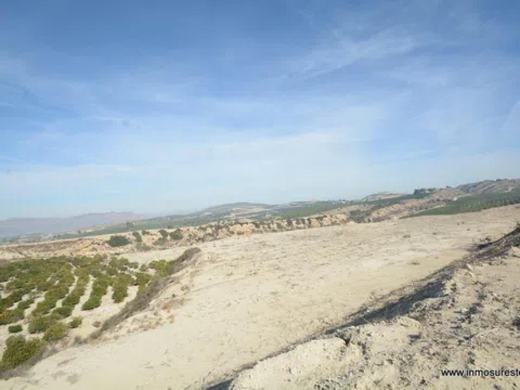 Terreno en venta en Orihuela, Alicante photo 5