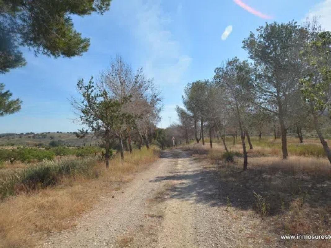 Działka na sprzedaż w Orihuela, Alicante photo 4