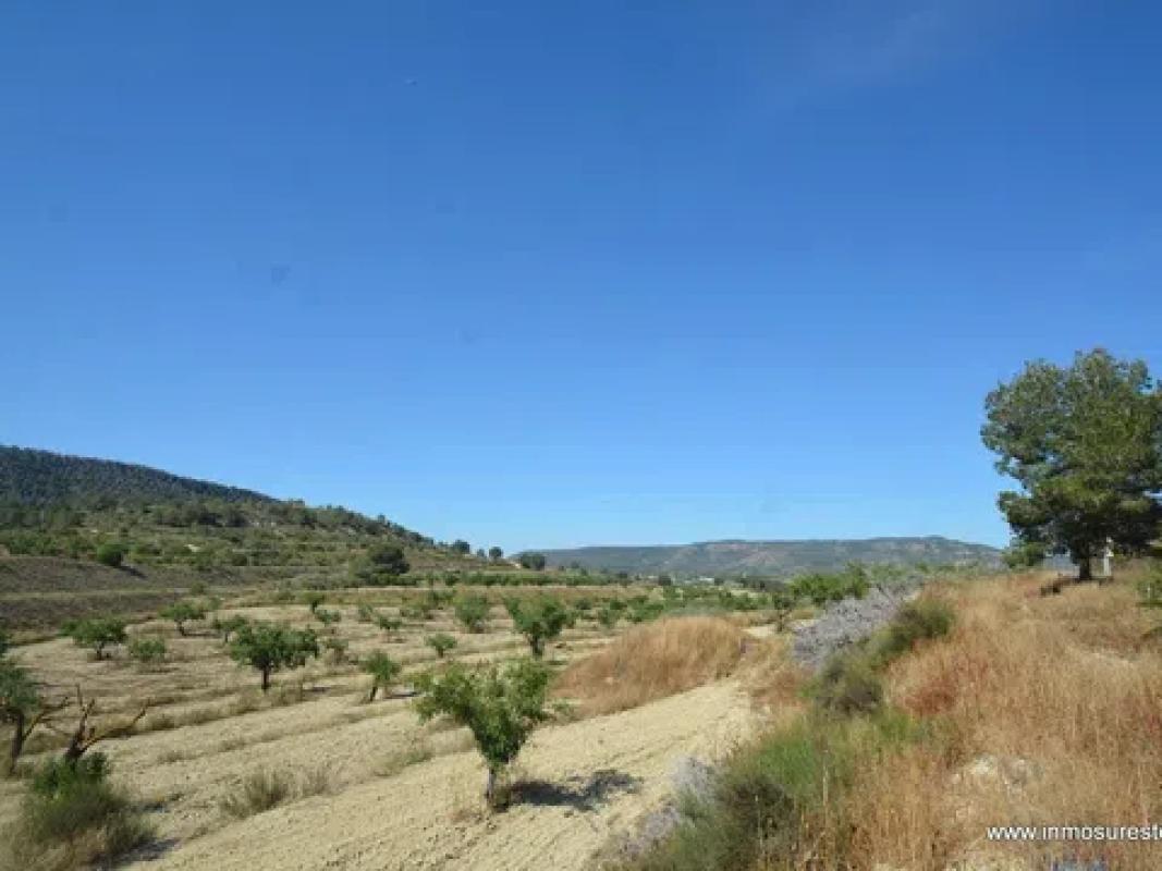 Działka na sprzedaż w Orihuela, Alicante photo 5