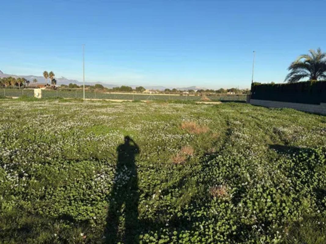 Działka na sprzedaż w Aspe, Alicante photo 5