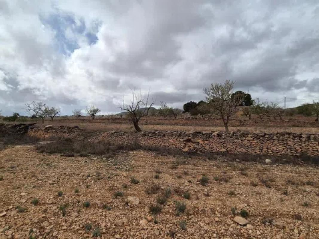 Terreno en venta en Pinoso, Alicante photo 3