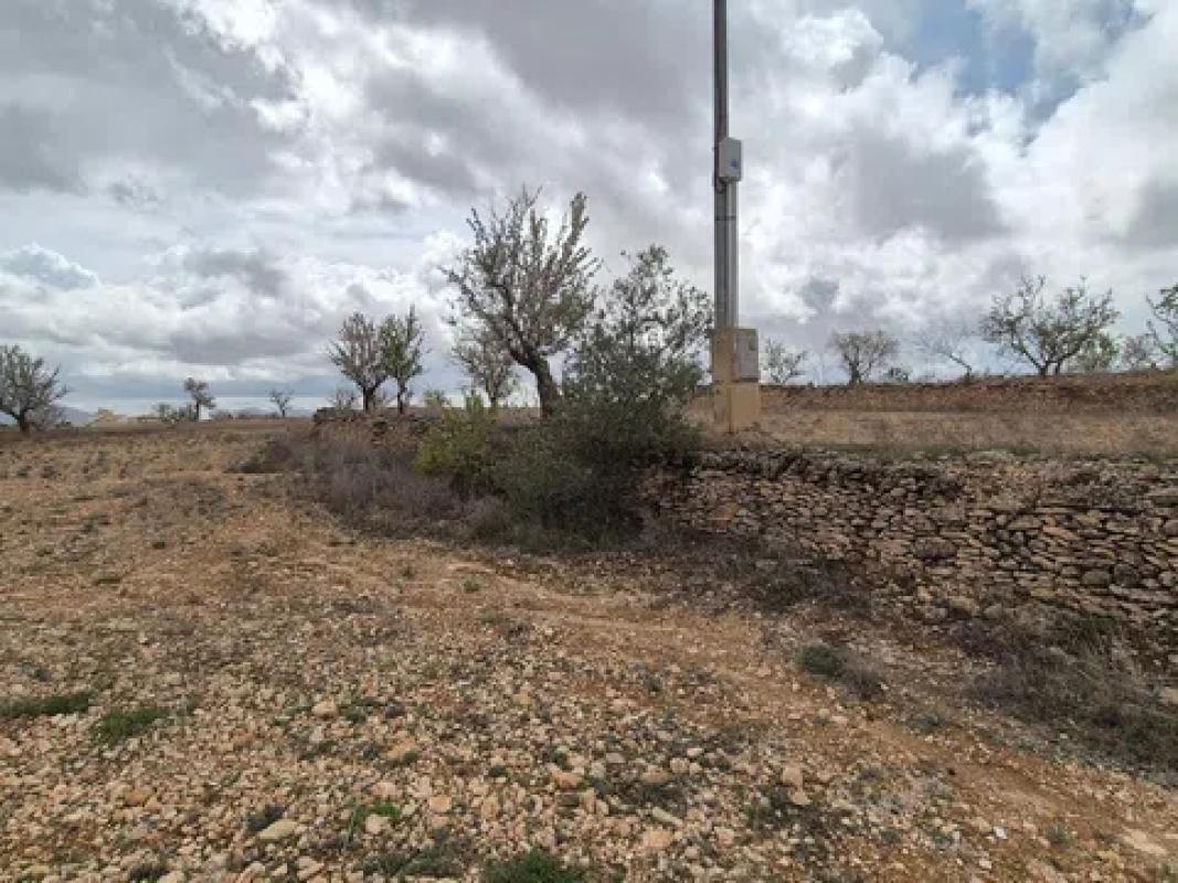 Terreno en venta en Pinoso, Alicante photo 5