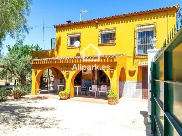 Casa independiente en calle Vicente Lillo Cánovas photo 4