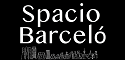 logo firmy