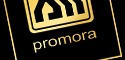 logo firmy