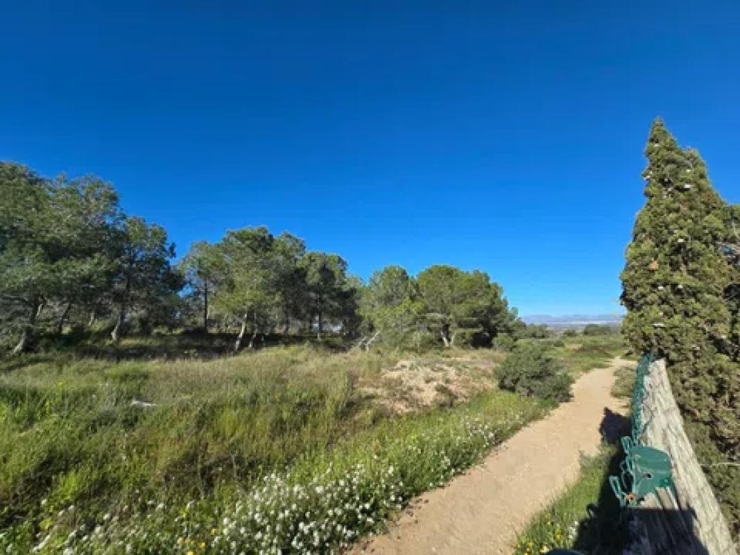 Sprzedaż niezależnego domku jednorodzinnego w Monte Faro-Altomar, Gran Alacant photo 4