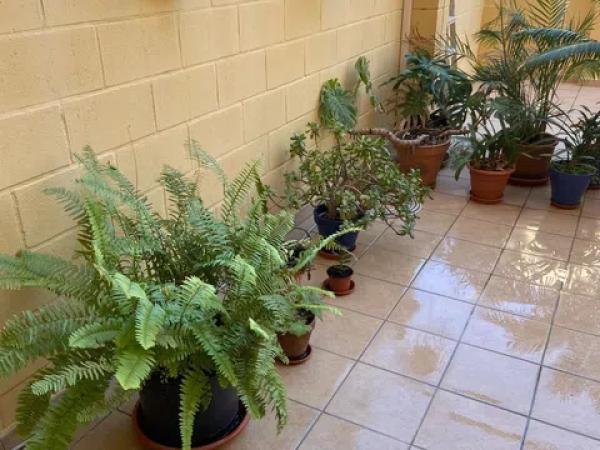 Venta de piso en Calle Martínez Maldonado, 14, Málaga
thumbnail 2