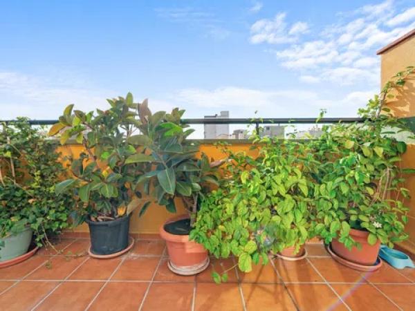 Duplex for sale on AV CEDRON, Málaga photo 3
