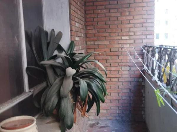 Продажа квартиры на Barrio Ensanche Centro - Soho, Малага
 photo 1