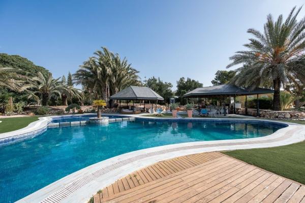 Independent chalet for sale in Las Bayas-Asprillas, Elche / Elx
 photo 4