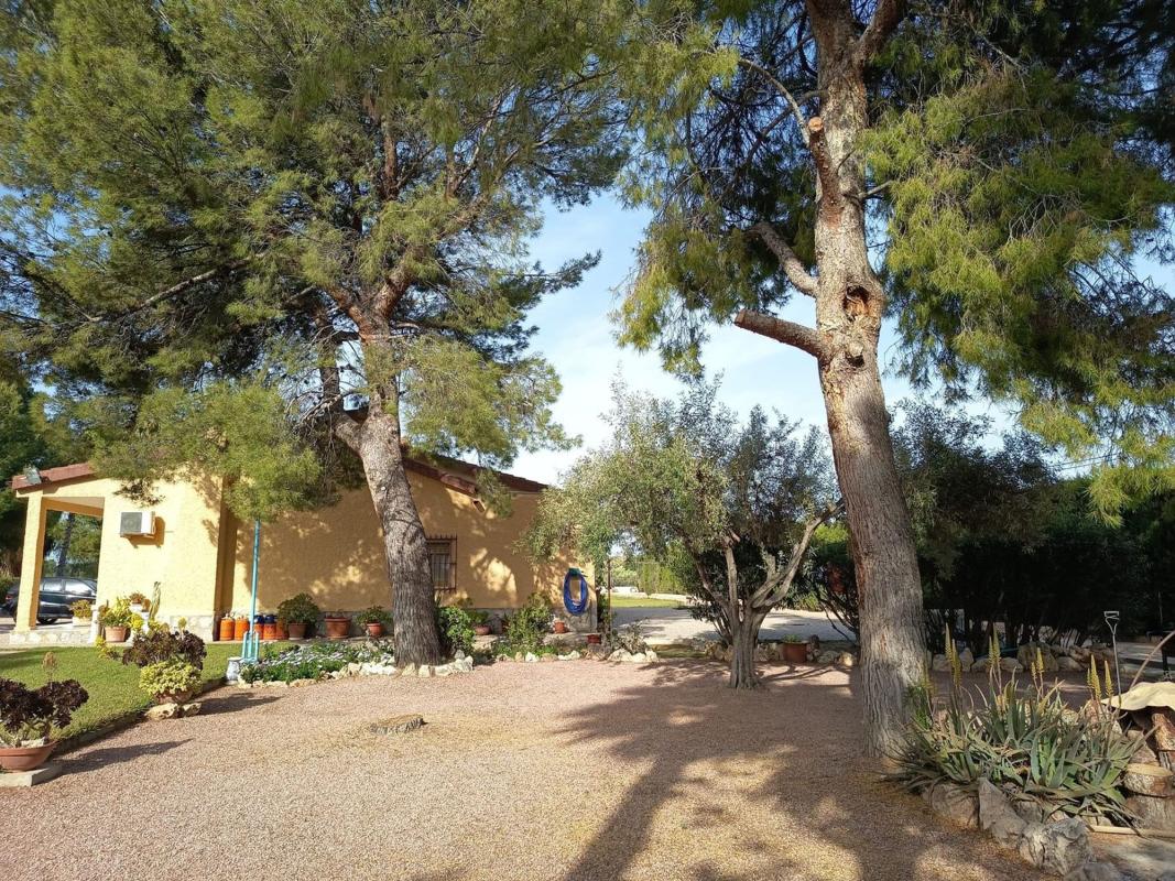 Venta de finca rústica en Centro , Mutxamel photo 3