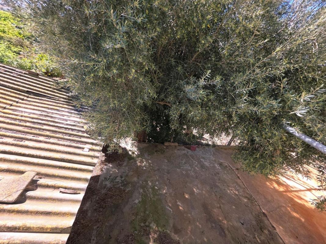 Venta de finca rústica en  Desamparados-Hurchillo-Torremendo , Orihuela photo 4