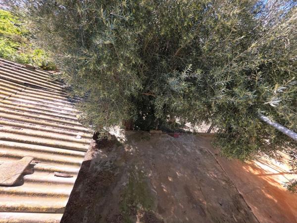 Finca rústica en venta en  Desamparados-Hurchillo-Torremendo , Orihuela photo 4