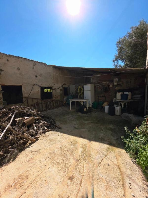 Venta de finca rústica en  Desamparados-Hurchillo-Torremendo , Orihuela photo 5