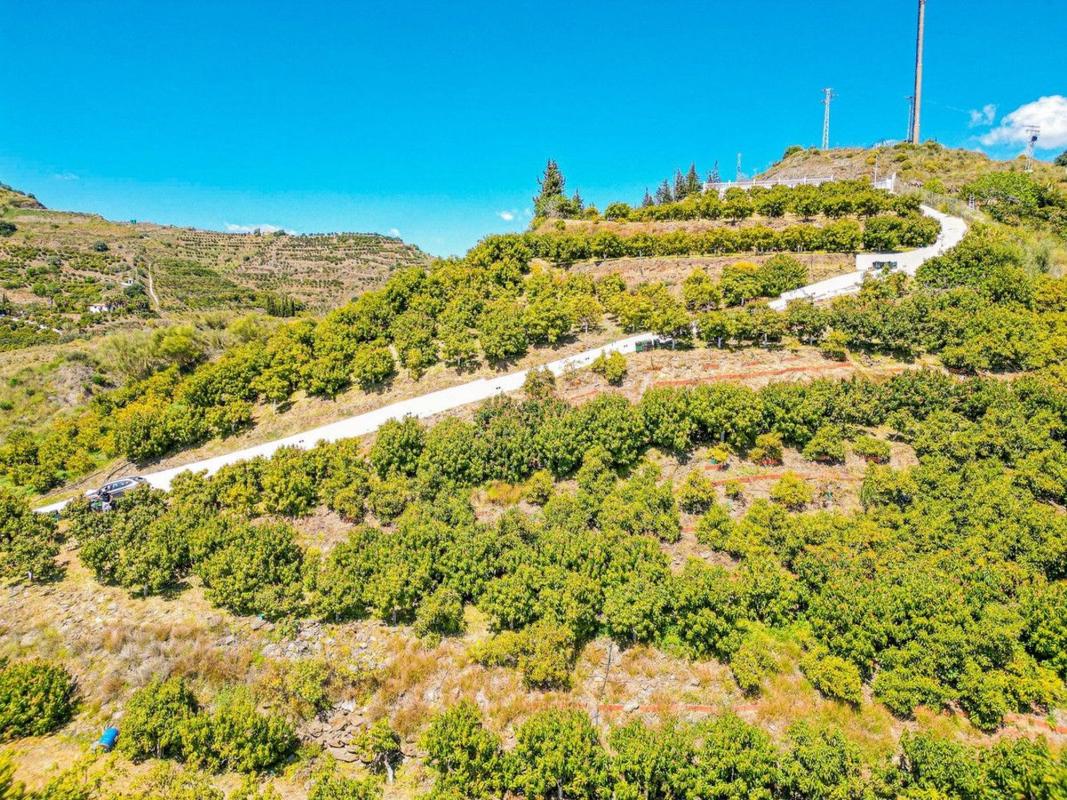 Sale of independent chalet in Lugar Puente Alta, Viñuela
photo 2