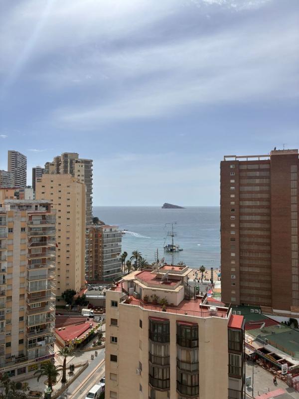 Sale of apartment in Berlin, Benidorm
photo 2