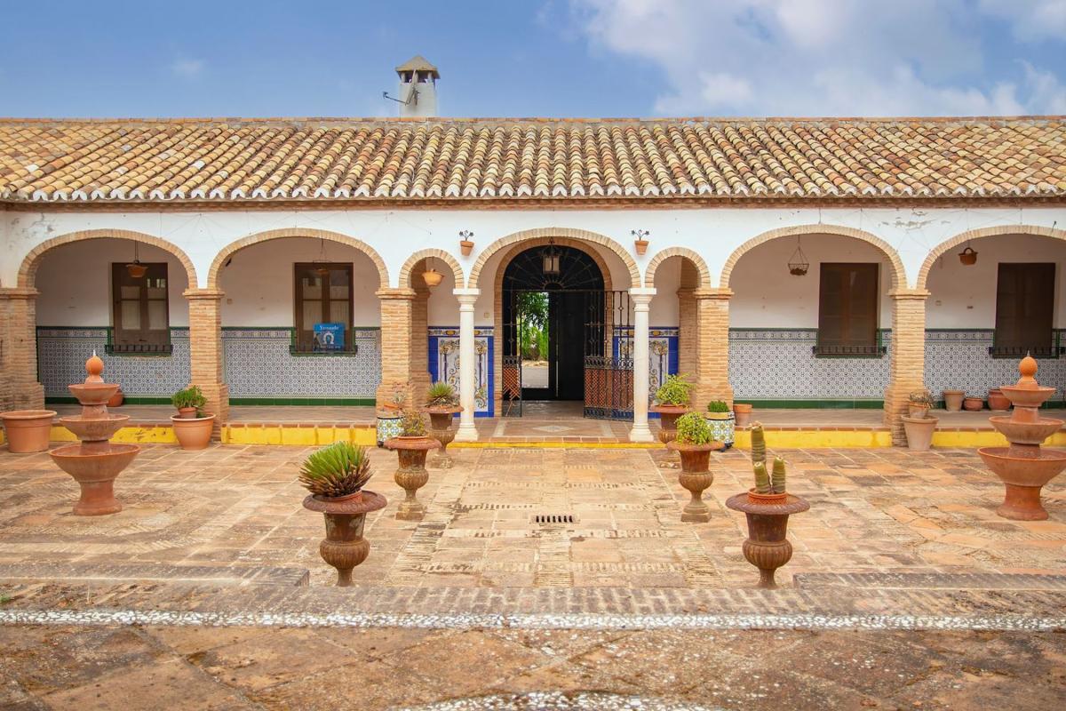 Venta de finca rústica en Zona De la Vega s/n , Antequera photo 5