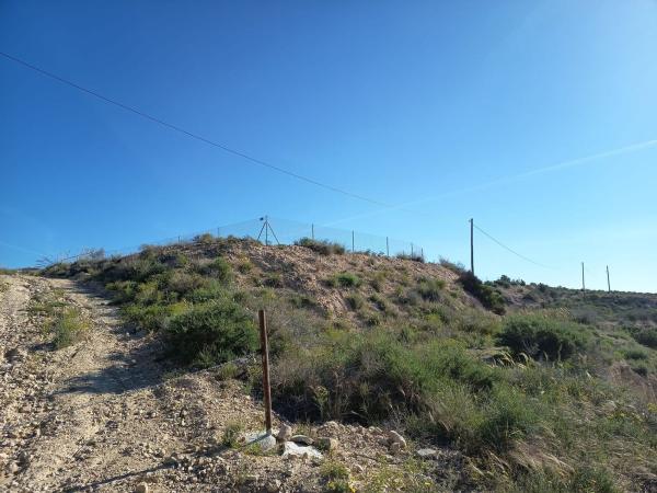 Finca rustykalna na sprzedaż w Carretera DE LA ALCORAYA , La Alcoraya thumbnail 2